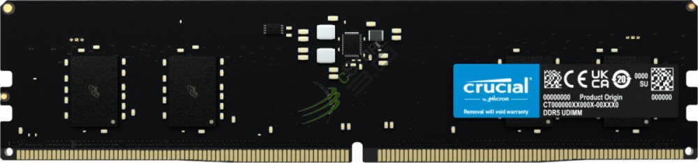 Crucial Pamięć DDR5 32GB/5600 CL46 (16Gbit) [CT32G56C46U5]