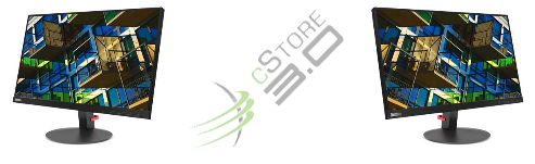 Lenovo Monitor ThinkVision S22i-19 [61C9KAT1EU]