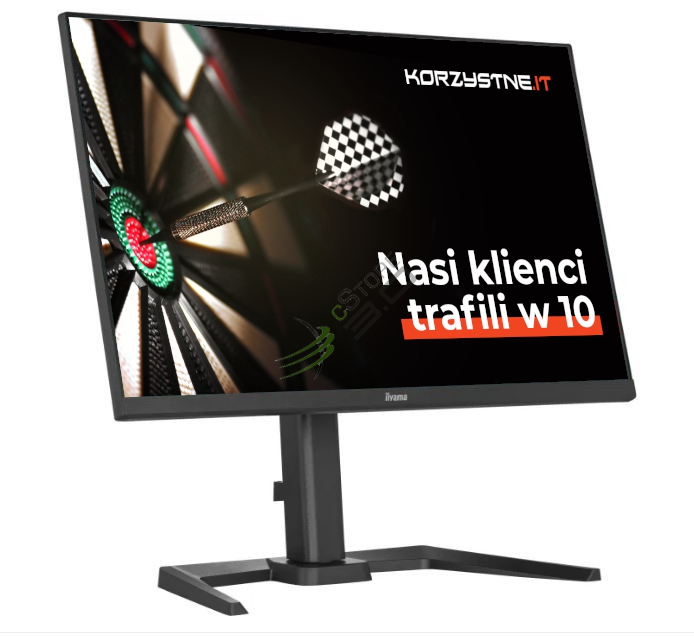 IIYAMA Monitor 24