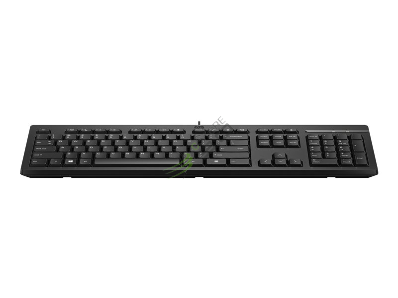 HP 125 Wired Mouse and Keyboard Combo-EURO (266C9AA)