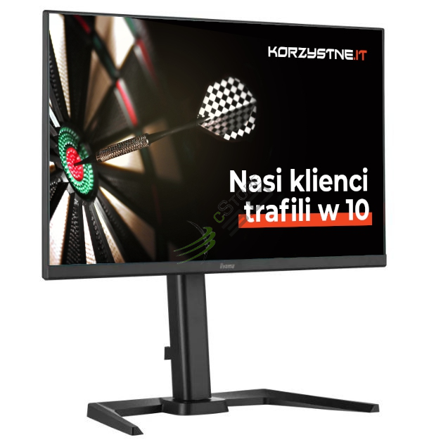 IIYAMA Monitor 24